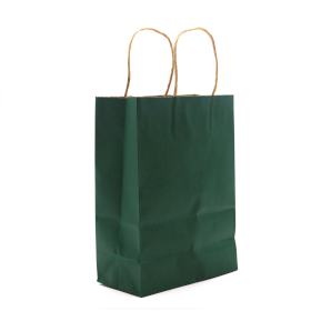 12x Sac en papier avec anse en corde (16x22x8cm) - Vert (130g)