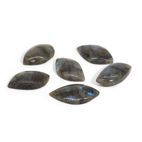 6x Pierres de feuilles de labradorite de Madagascar (environ 13-20 g, 40-50 mm)