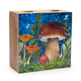 Grande boîte carrée 15x17,5x8 cm - Design Champignon Bleu-vert