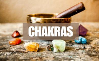 Fournisseur produits Chakra